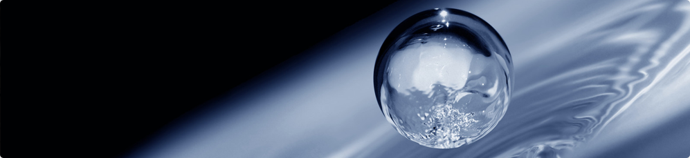 LP Consulting Services