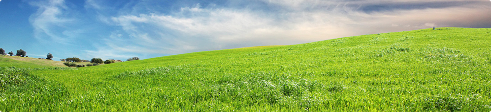 Water Services Sydney